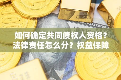 北京如何确定共同债权人资格？法律责任怎么分？权益保障技巧揭秘！