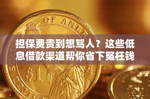 北京担保费贵到想骂人？这些低息借款渠道帮你省下冤枉钱