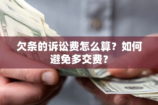 北京欠条的诉讼费怎么算？如何避免多交费？
