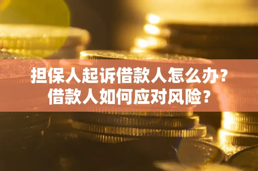 北京担保人起诉借款人怎么办？借款人如何应对风险？