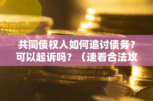 北京共同债权人如何追讨债务？可以起诉吗？（速看合法攻略）