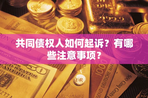 北京共同债权人如何起诉？有哪些注意事项？